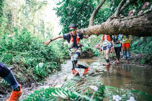 BIB: 
                            <button type="button" onclick="openModal(25475323)" class="btn btn-primary btn-sm float-right btn-popup" data-toggle="modal" data-target=".modal-high-quality">
                        <i class="fas fa-shopping-cart"></i> Add to Cart
                    </button>
                                            <button type="button" onclick="isThisMe(25475323, true)" class="btn btn-success btn-sm float-right btn-popup btn-isme hidden" data-toggle="tooltip" data-placement="bottom" title="นี่คือรูปของคุณใช่ไหม คลิกที่นี่เพื่อเอาเข้าอัลบั้ม">
                        <i class="fas fa-plus"></i> Add to album
                    </button>
                    <button type="button" onclick="isThisMe(25475323, false)" class="btn btn-warning btn-sm float-right btn-popup btn-isnotme hidden">
                        <i class="fas fa-ban"></i> Remove from album
                    </button>